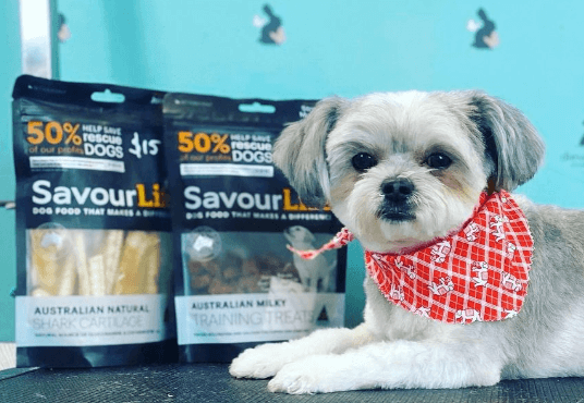 SavourLife Shark Cartilage being tested by our review team.