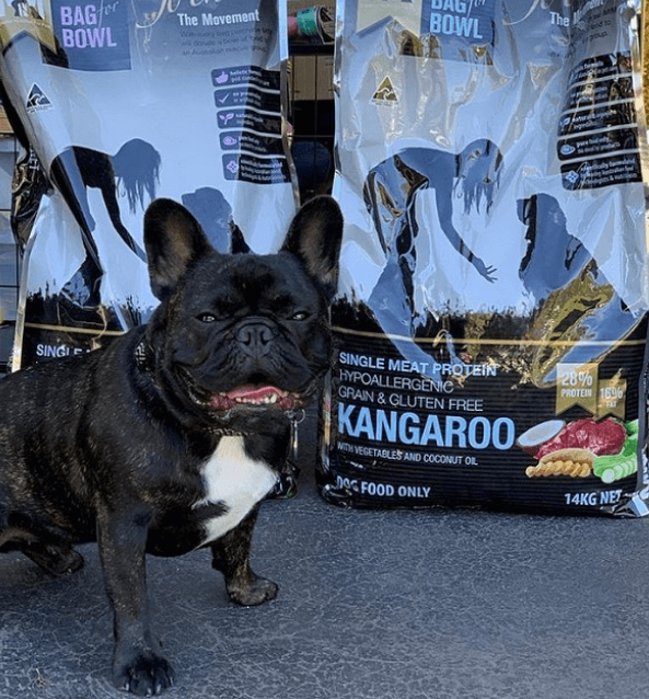Meals For Mutts Kangaroo being tested by our review team.