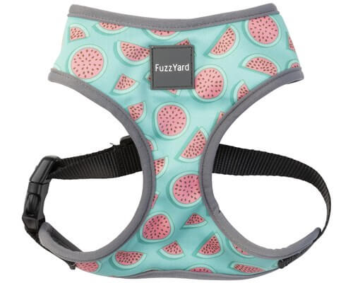 FuzzYard Summer Punch Harness