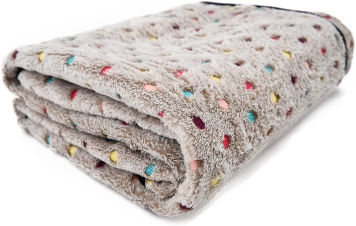 PAWZ Road Pet Dog Blanket