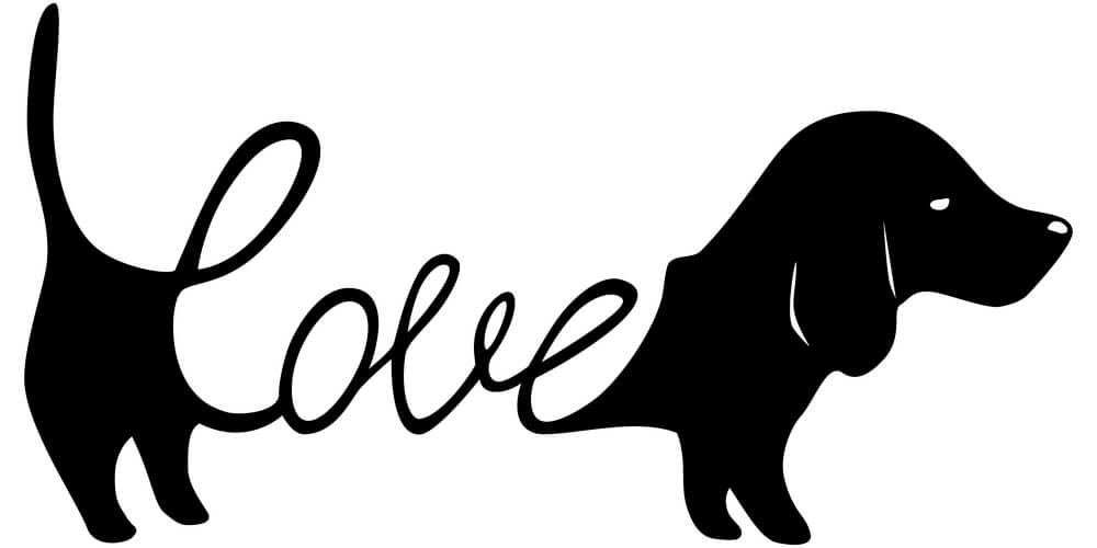 Dachshund Poster