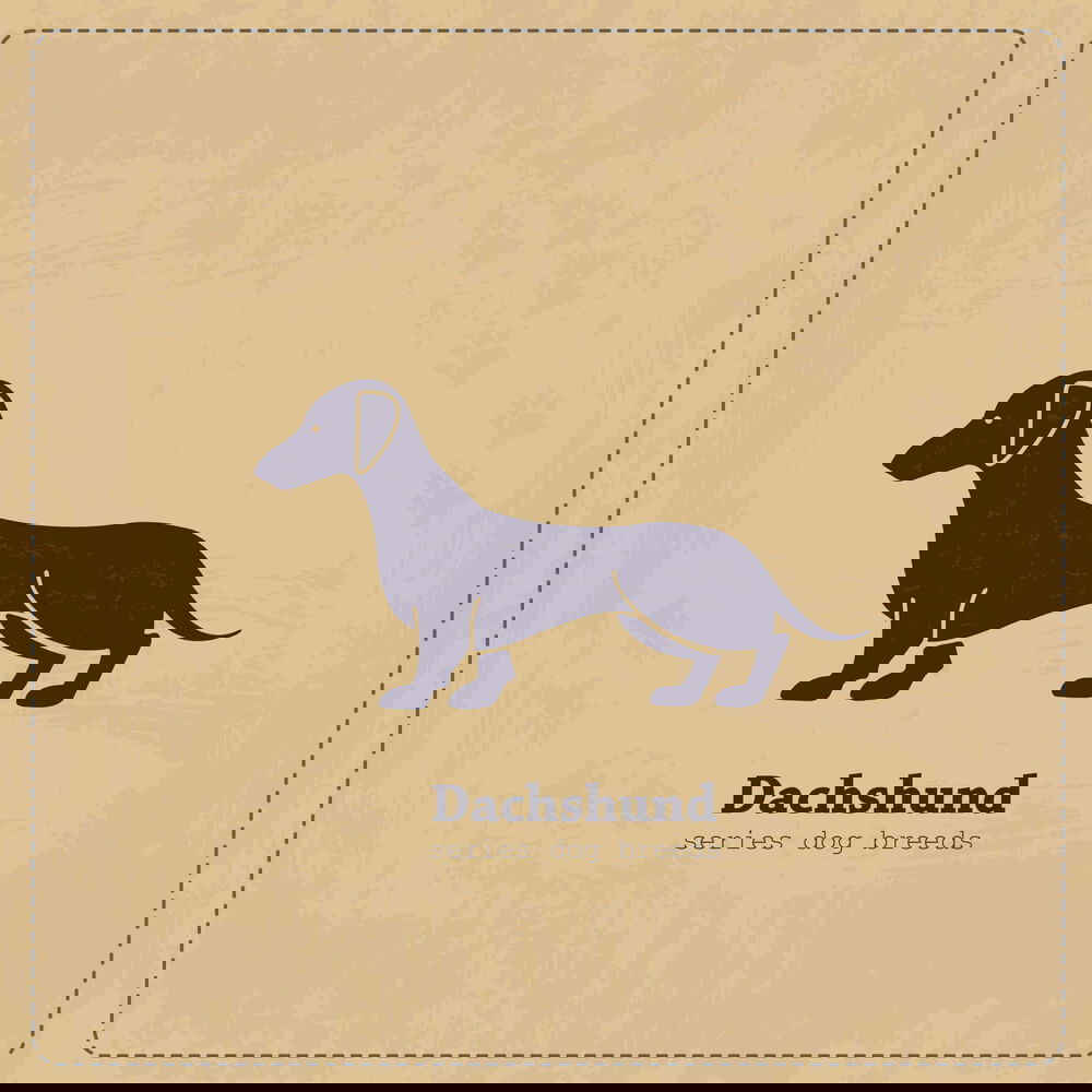 Vintage Dachshund stationary