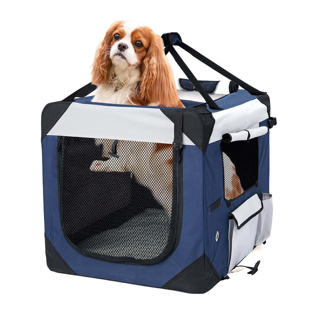 PaWz Soft Pet Portable Crate being tested by our review team.