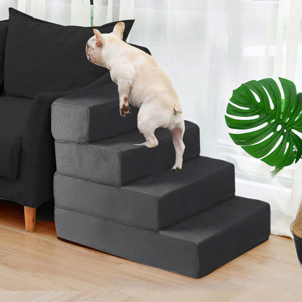 PaWz Soft Pet Stairs being tested by our review team.