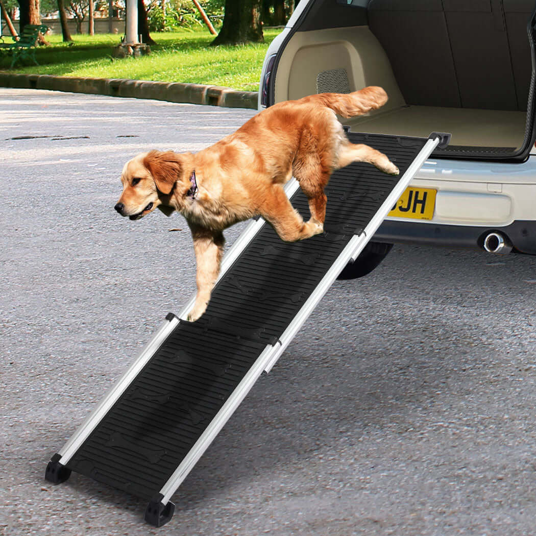 PaWz Foldable Aluminum Non-Slip Dog Ramp being tested by our review team.