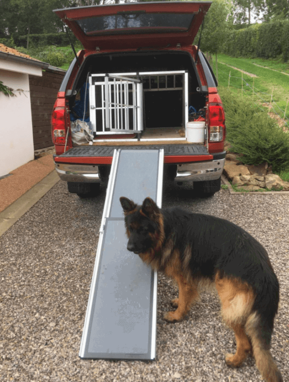 Solvit 62337 Deluxe Telescoping Pet Ramp being tested by our review team.