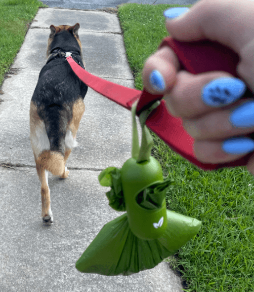 Earth Rated Dog Poop Bags Dispenser being tested by our review team.