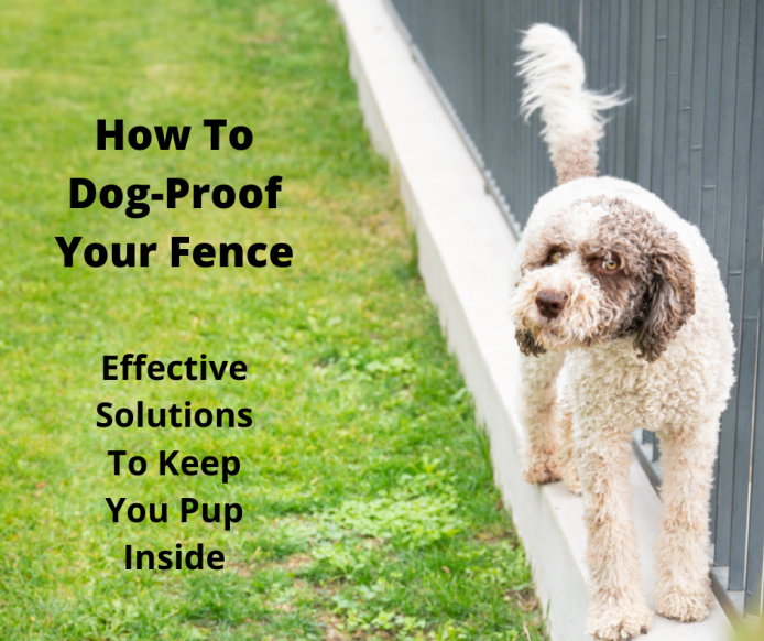 How To Dog-Proof A Fence – Canine Fencing Ideas - gentledogtrainers.com.au