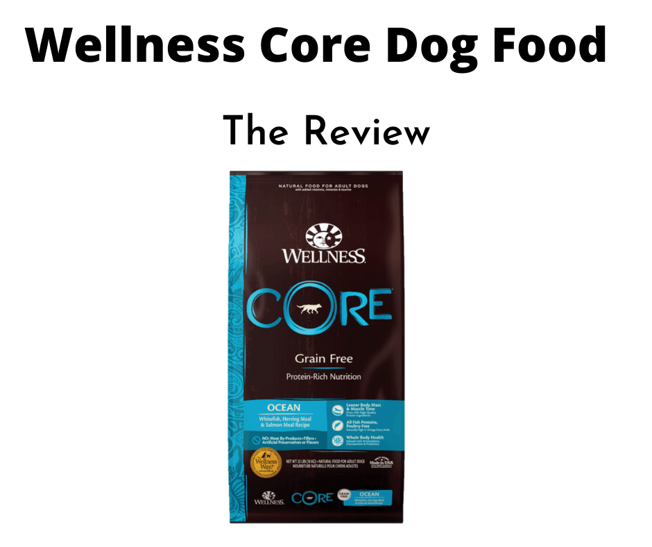Wellness Core Dog Food