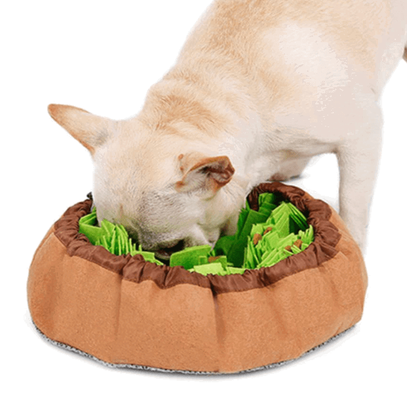 Kingtree Snuffle Mat for Dog being tested by our review team.