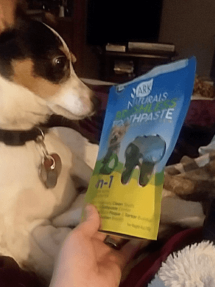 Ark Naturals Brushless Toothpaste being tested by our review team.