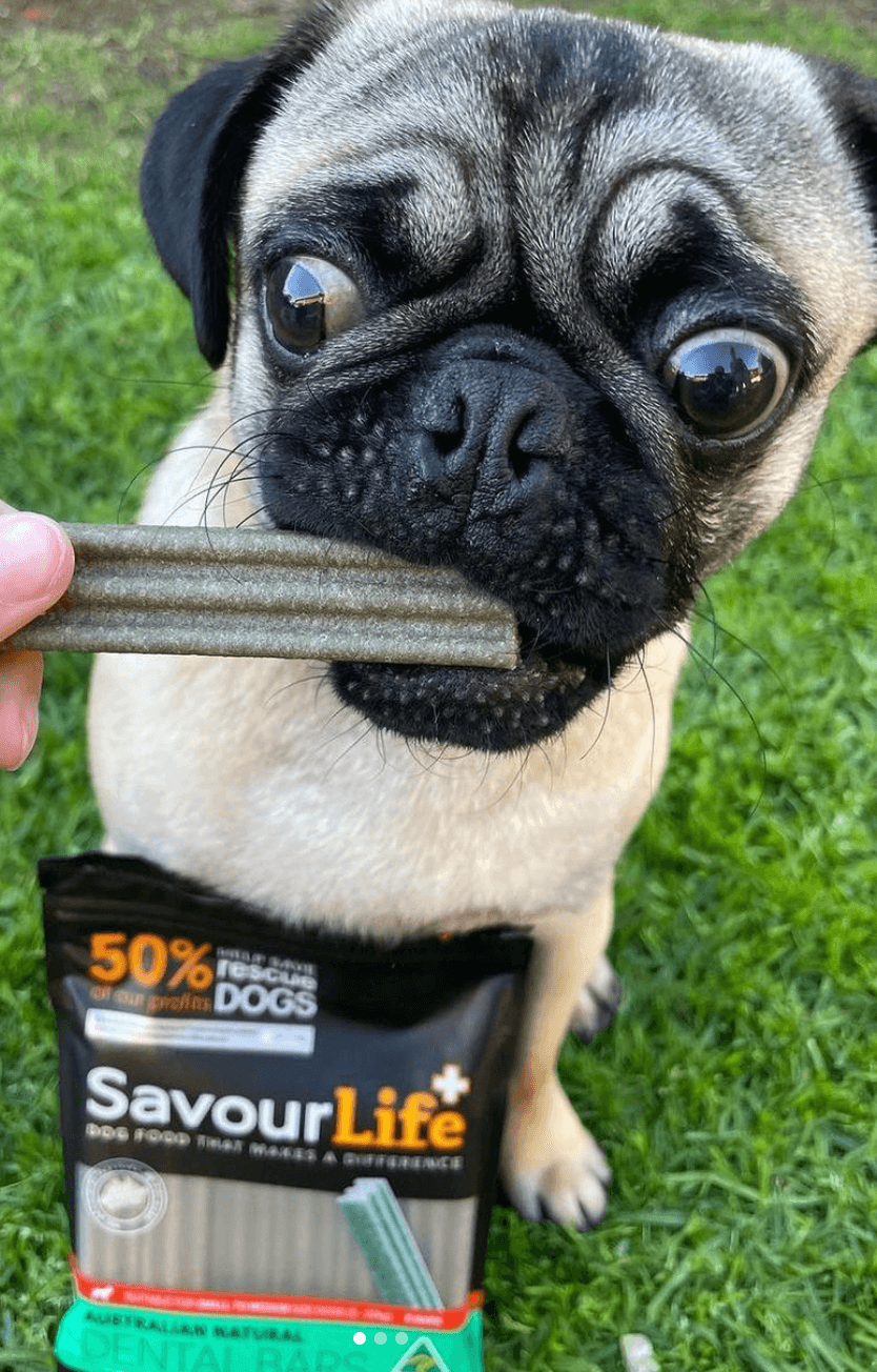 Savourlife Australian Natural Dental Bars being tested by our review team.