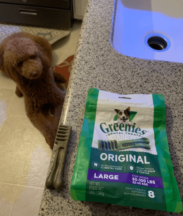 Greenies Original Dental Care Chews being tested by our review team.