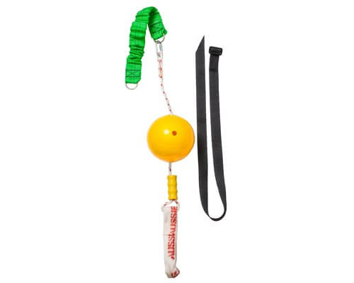Aussie Dog Home Alone Toy