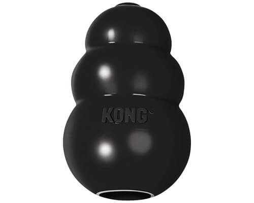 KONG Extreme Dog Toy