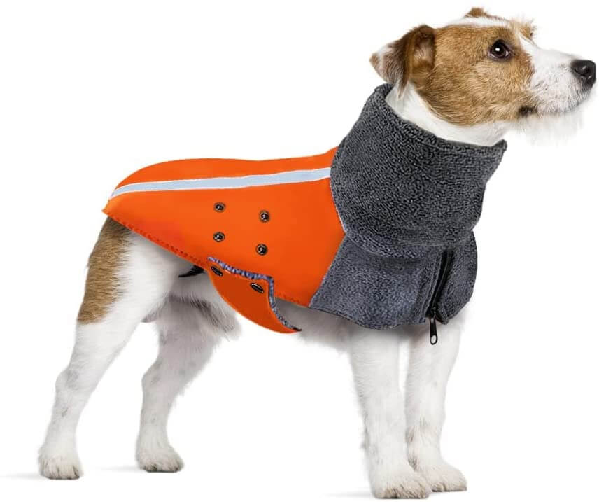 SlowTon Winter Dog Coat being tested by our review team.