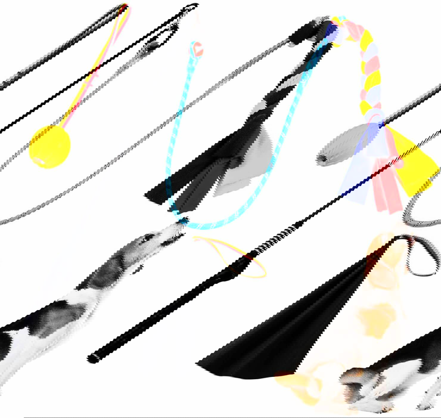 XIDAJIE Interactive Flirt Pole