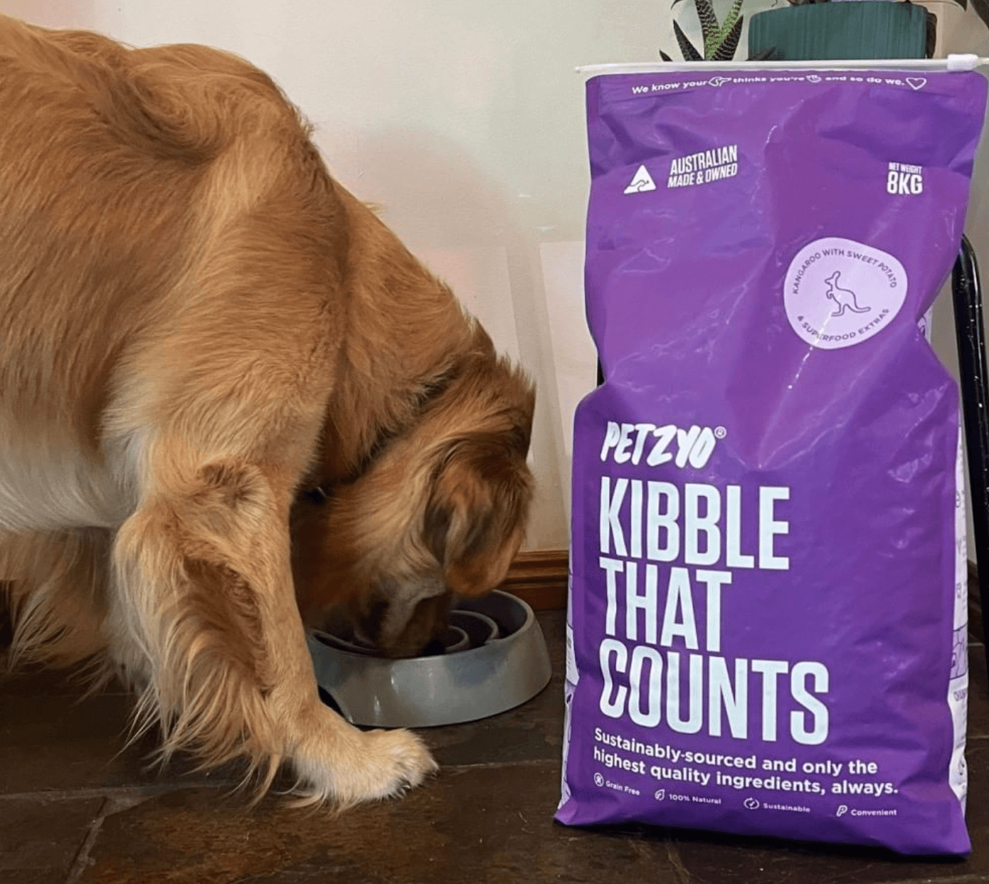 Petzyo Dry Dog Food Kangaroo & Sweet Potato being tested by our review team.