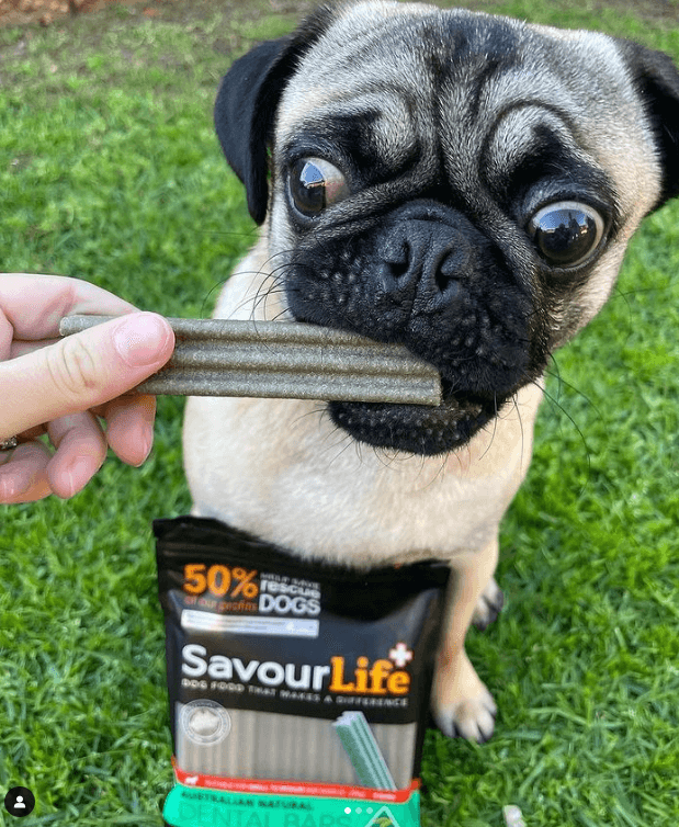 Savourlife Australian Natural Dental Bars being tested by our review team.