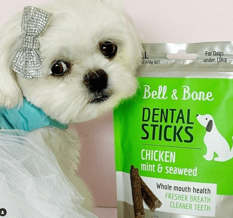 Bell & Bone Dental Sticks being tested by our review team.
