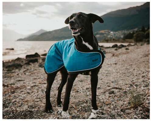 Huskimo Summit Pro Bells Beach being tested by our review team.