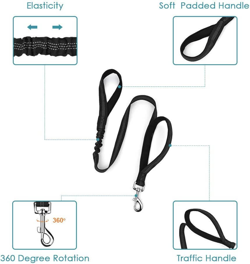 SlowTon Double Dog Seat Belt and Dog Leash Set