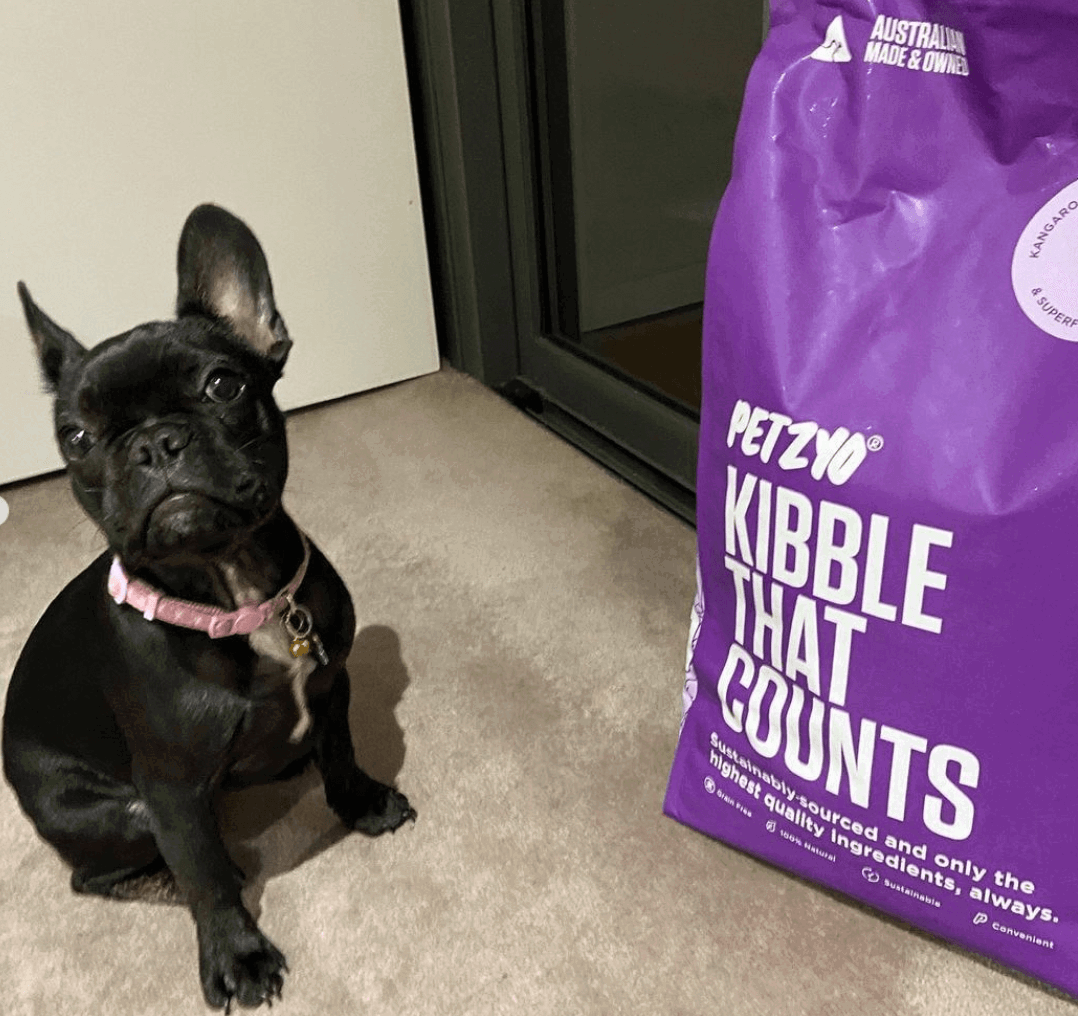 Petzyo Dry Dog Food Kangaroo & Sweet Potato being tested by our review team.