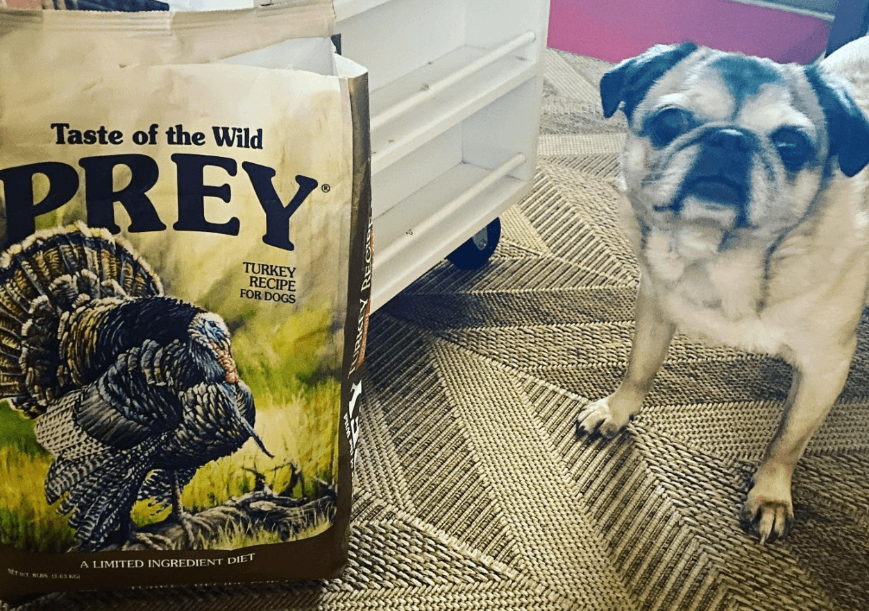 Taste Of The Wild Prey Turkey being tested by our review team.