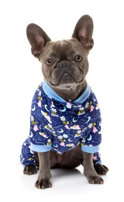 FuzzYard Pyjamas being tested by our review team.