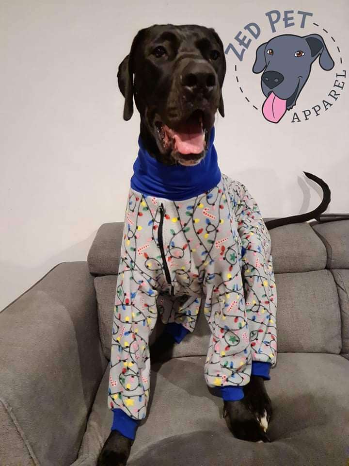 Zed Threadz Custom Made Dog Onesie