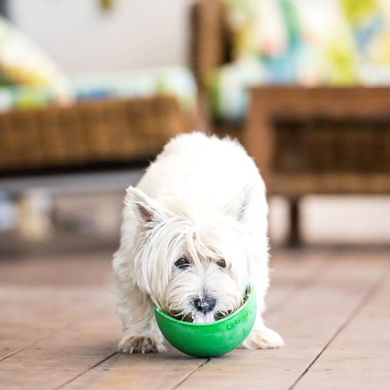 LickiMat Wobble Boredom Buster Dog Bowl being tested by our review team.