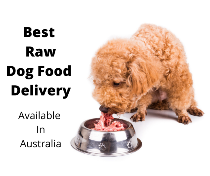 dog food ordering service