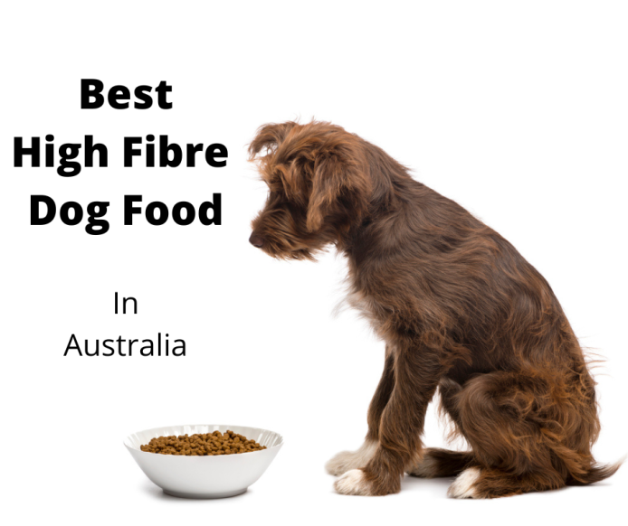 best fibre for dogs