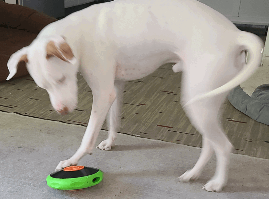 Sniffiz SmellyUFO being tested by our review team.