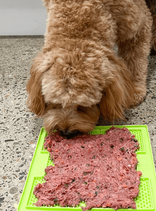 Raw & Fresh being tested by our review team.