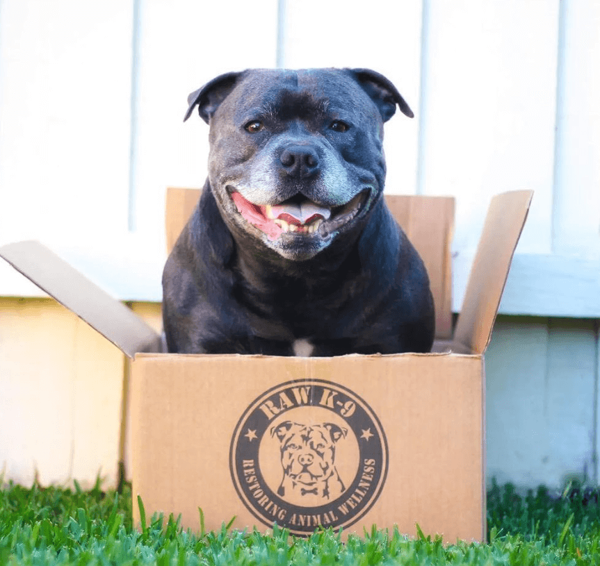 Raw K-9 being tested by our review team.