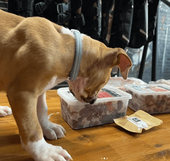Rogue Raw being tested by our review team.
