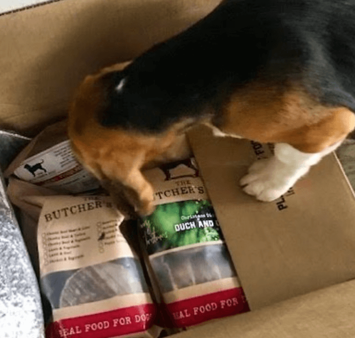 The Butcher’s Dog being tested by our review team.