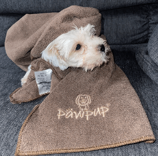 PAWPUP Dog Towel Super Absorbent - Pack of 2 being tested by our review team.