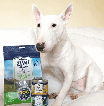 Ziwi Peak Tripe & Lamb being tested by our review team.