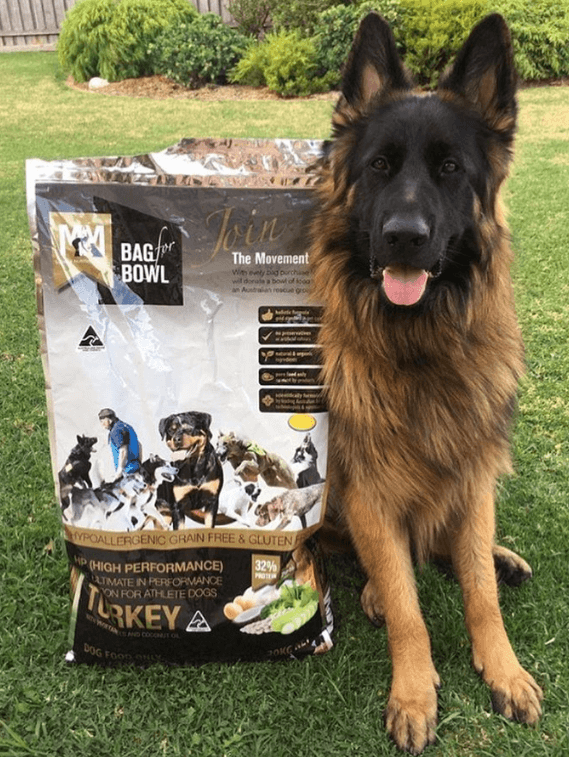 Meals for Mutts High Performance Dog Food being tested by our review team.