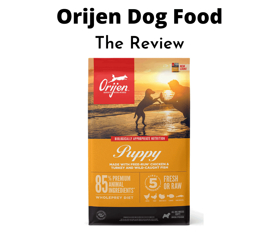 The Orijen Dog Food Review Tested Evaluated 2024 Gentledogtrainers au