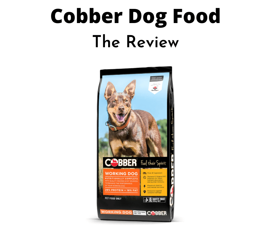 Cobber Dog Food