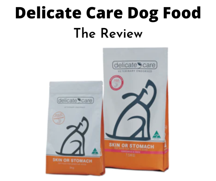 The Delicate Care Dog Food Review (2022 Update)