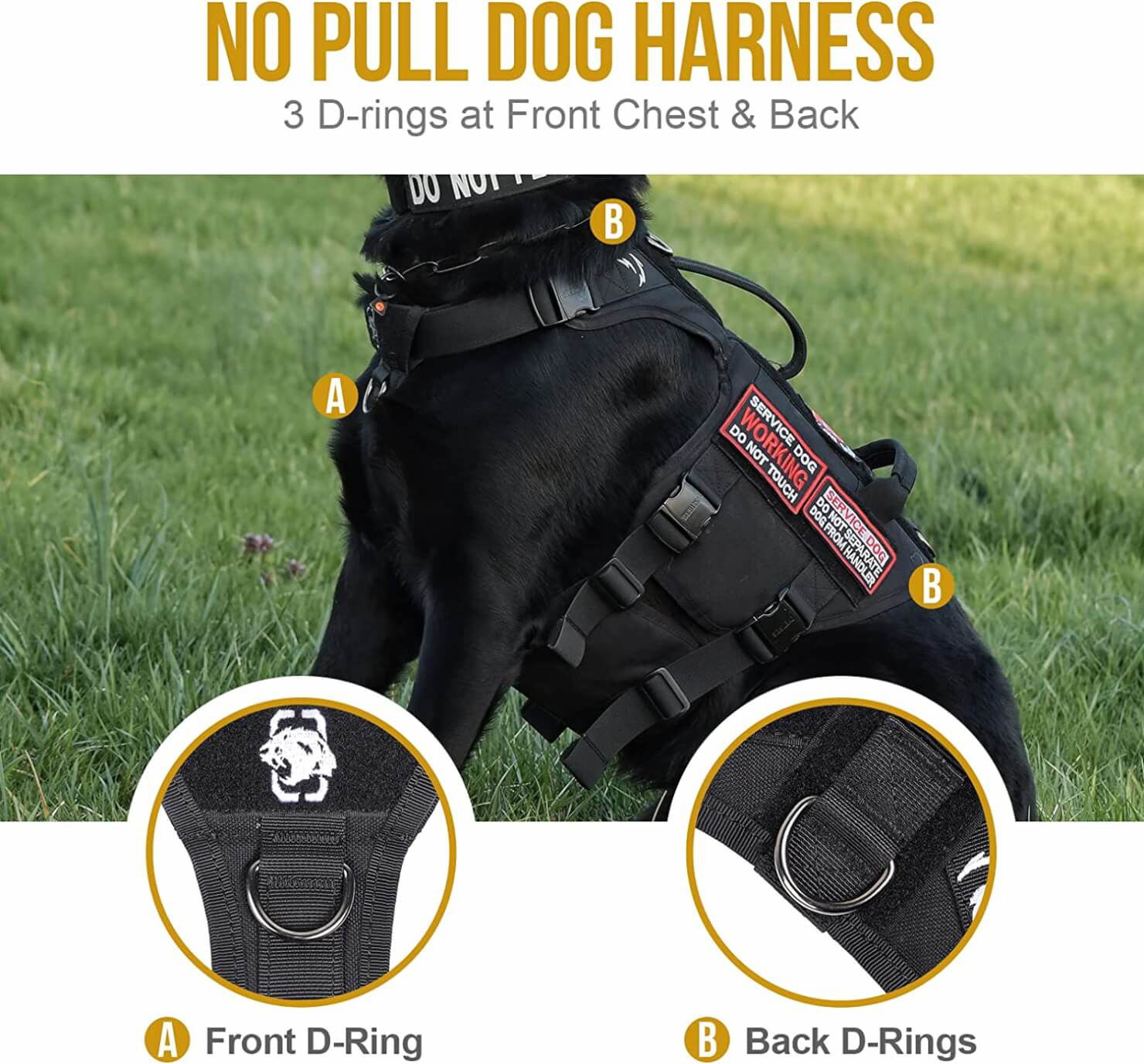 The Best Harness For German Shepherds (2023 Buyers Guide ...