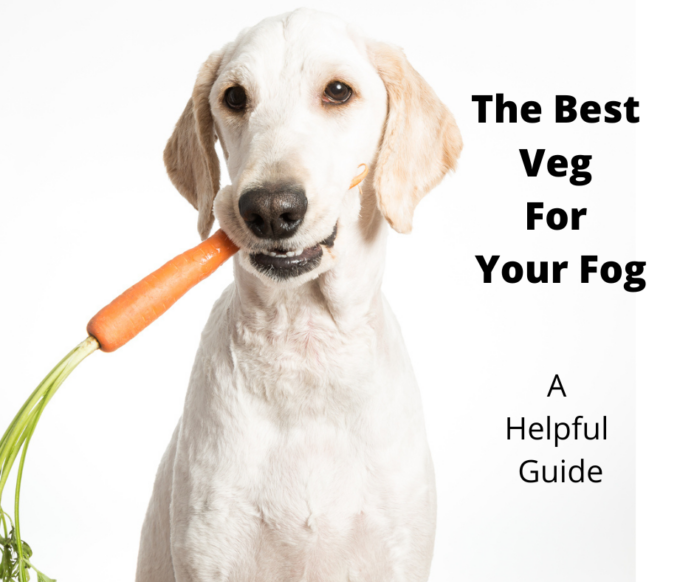 The Best Vegetables For Dogs A Healthy & Balanced Canine