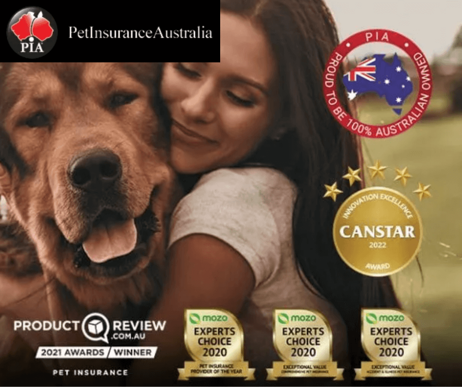 The Best Dog Insurance In Australia 6 Top Options Reviewed