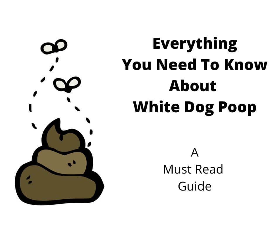 White Dog Poop.