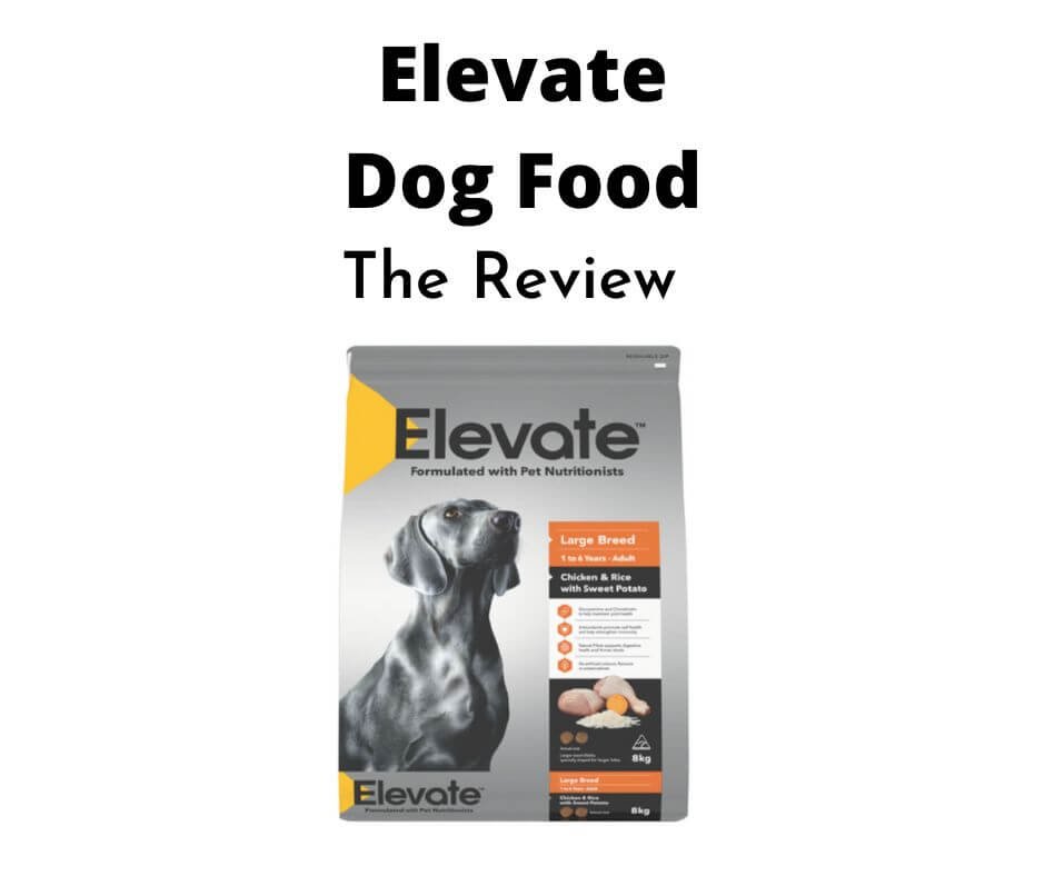 Elevate Dog Food.