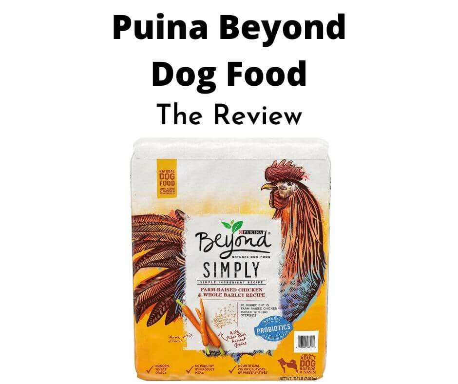 Purina Beyond Dog Food.